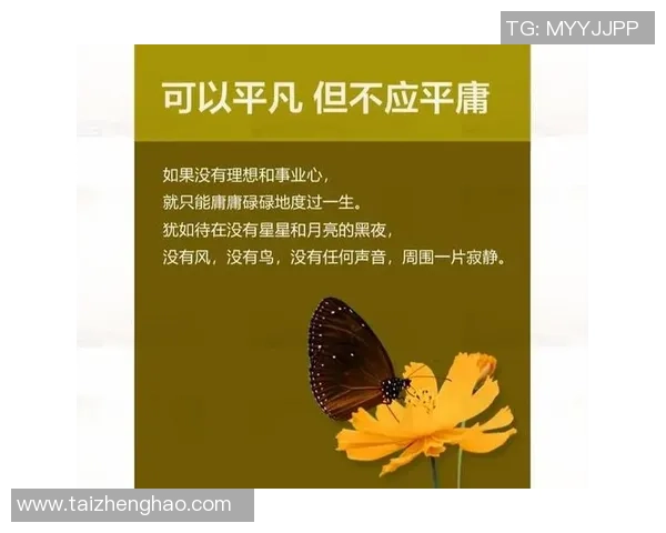 李添荣的奋斗历程与人生哲学探讨：从平凡到卓越的心路历程